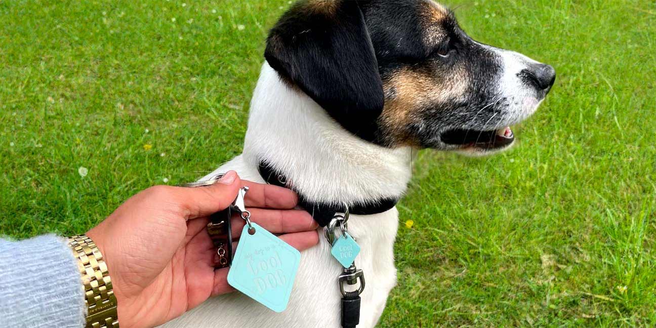 Porte-clés pour propriétaires de chiens et de chats : Un accessoire pratique et élégant