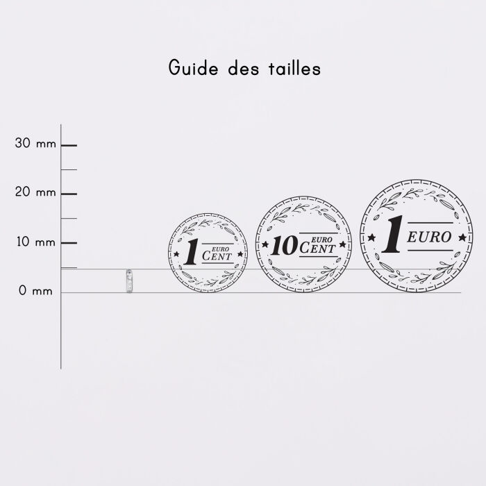 Mini-charm anneau zircon collection Chapitre argent - pièces
