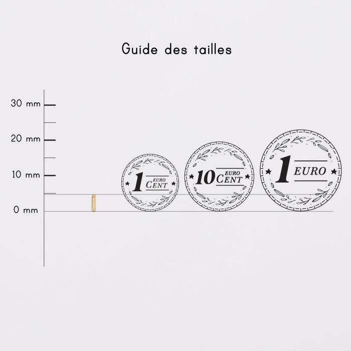Mini-charm anneau simple collection Chapitre plaqué or - pièces