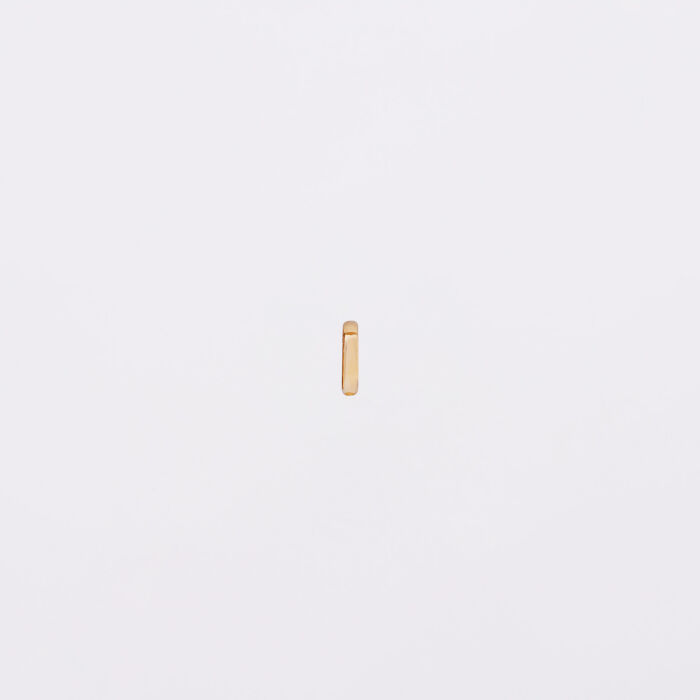 Mini-charm anneau simple collection Chapitre plaqué or - face