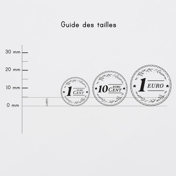 Mini-charm anneau dentelé collection Chapitre argent